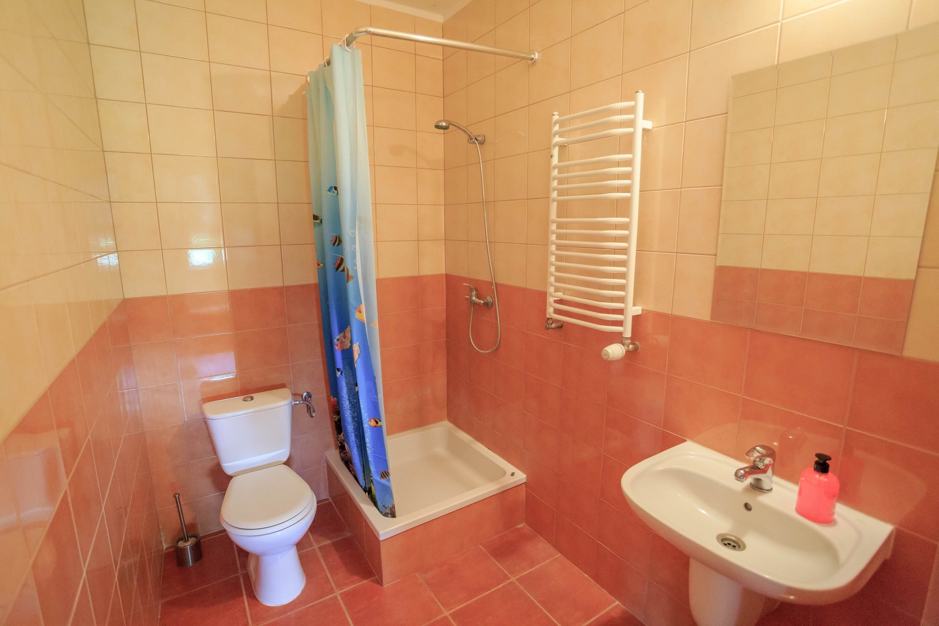 Łazienka z prysznicem